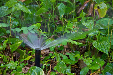 Sprinkler Systems