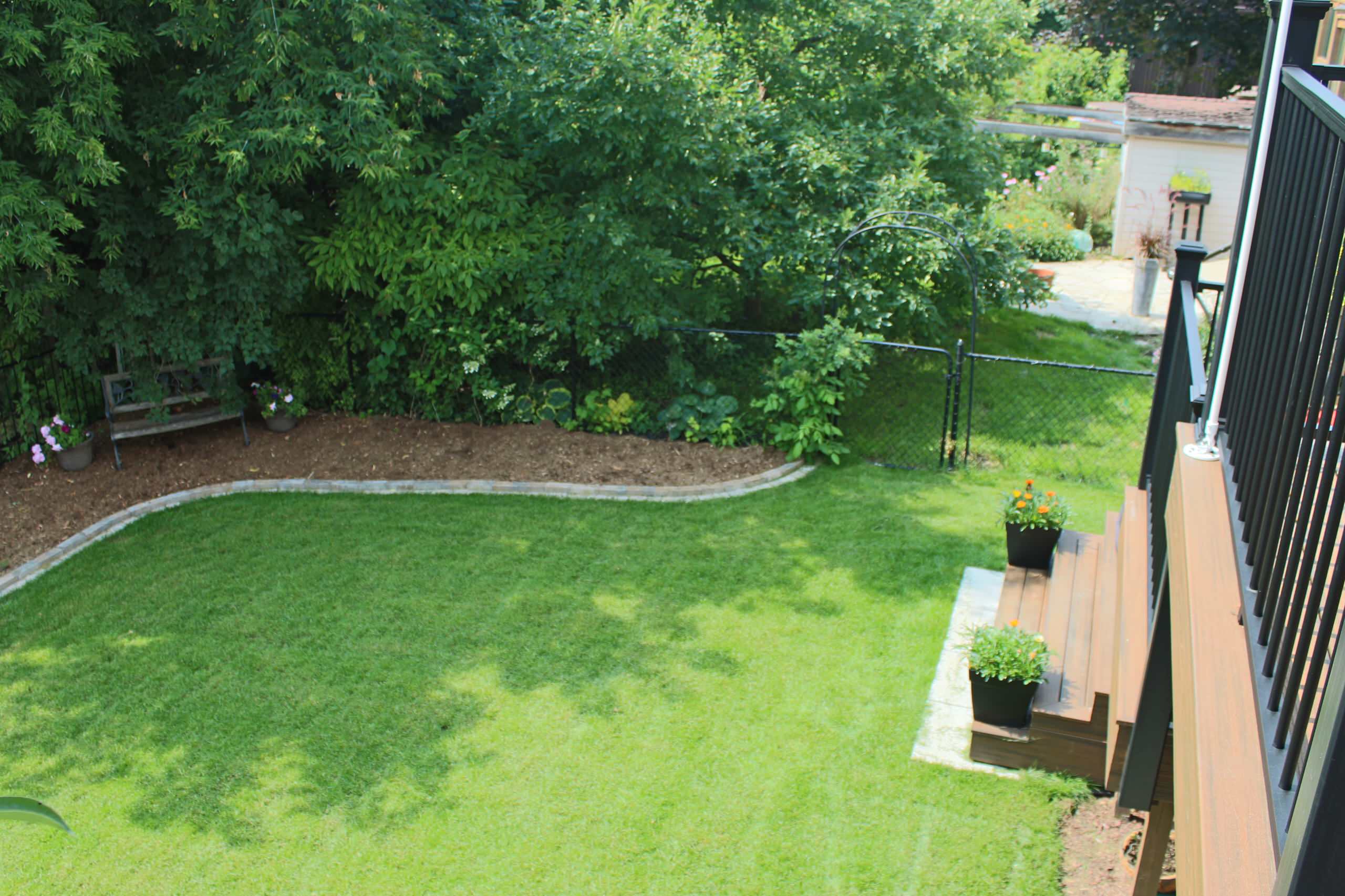 New-lawn-instantlawn