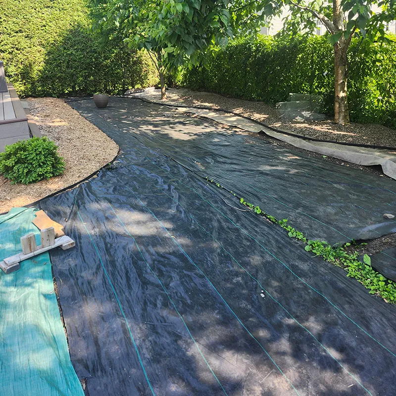 Findlay Creek Backyard Resodding Before