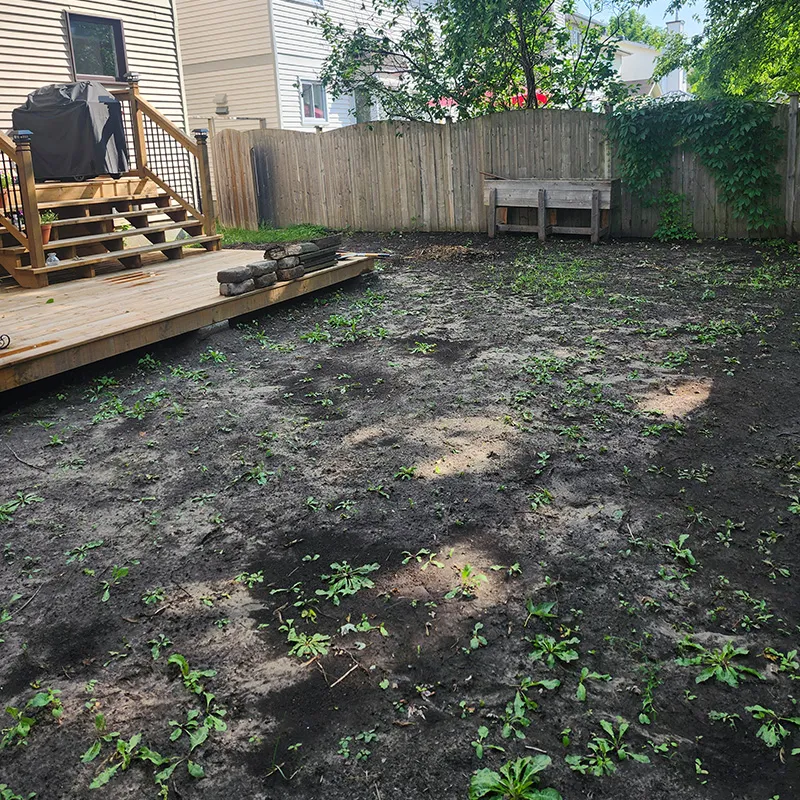 Hunt Club Backyard Resodding Before