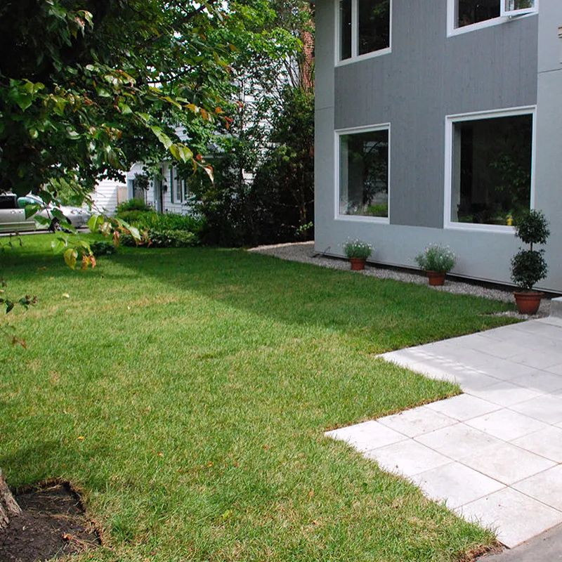 new-lawn-instantlawns