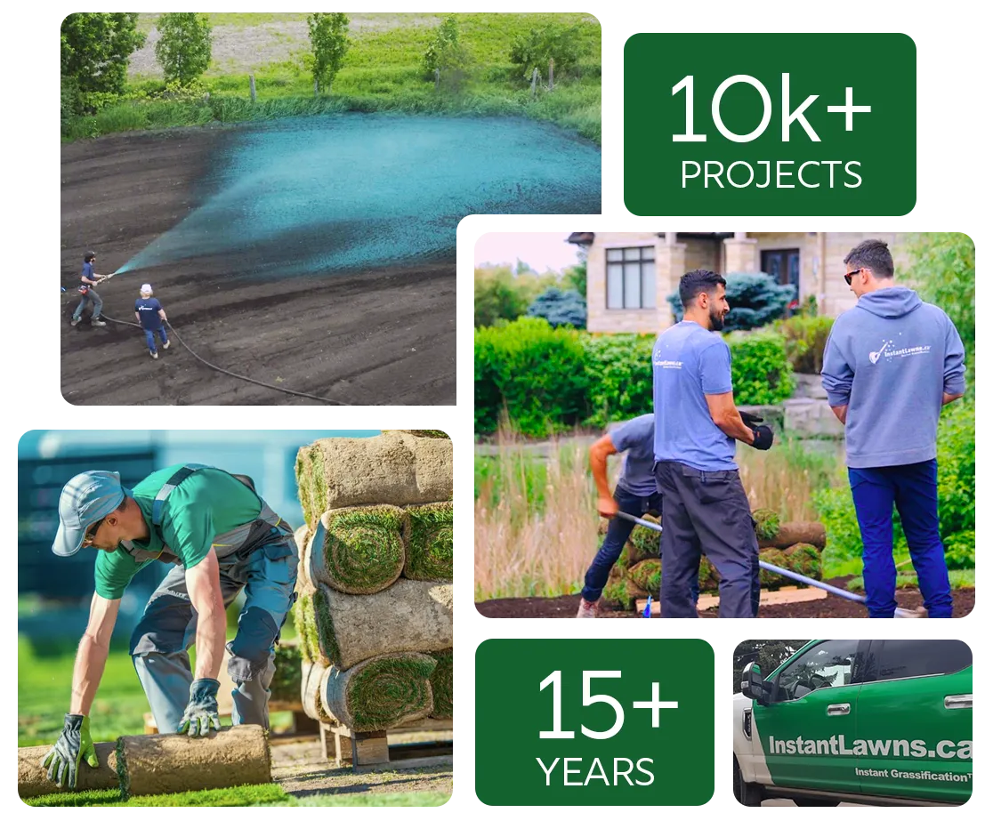 Instant Lawns Crew - Top Landscaping Company Ottawa