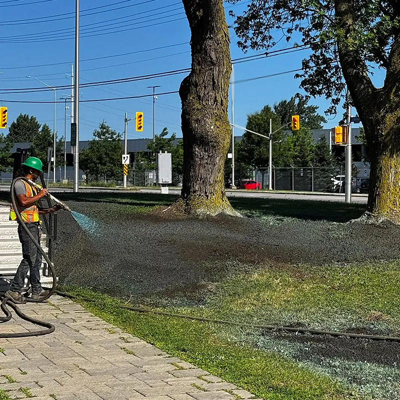 Hydroseeding