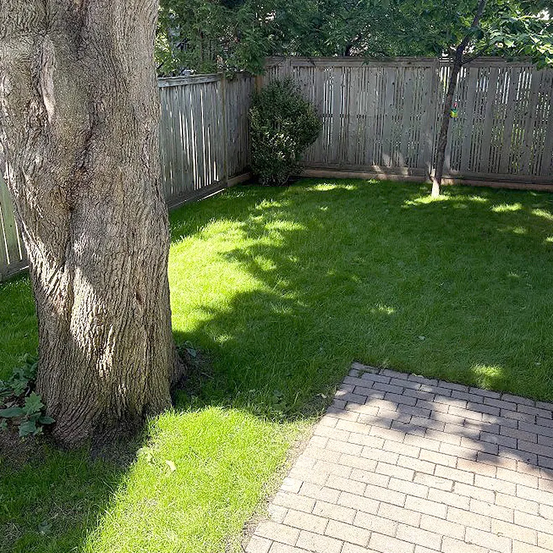 Westboro Backyard Hydroseed Project After