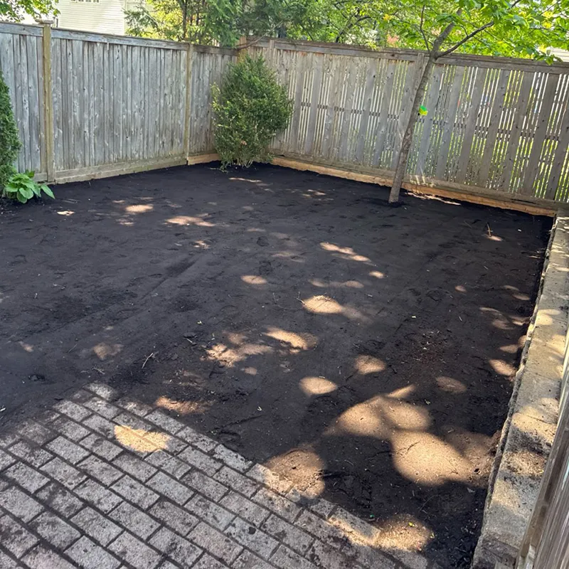 Westboro Backyard Hydroseed Before