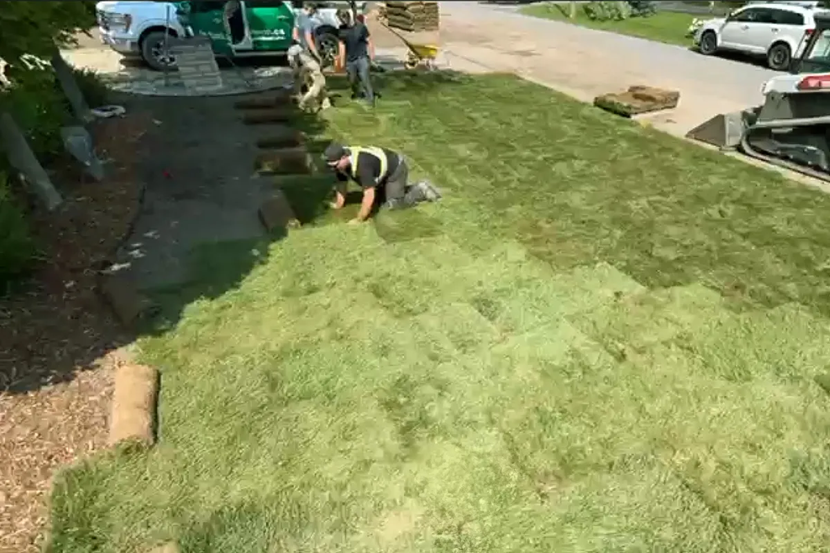 sod installation