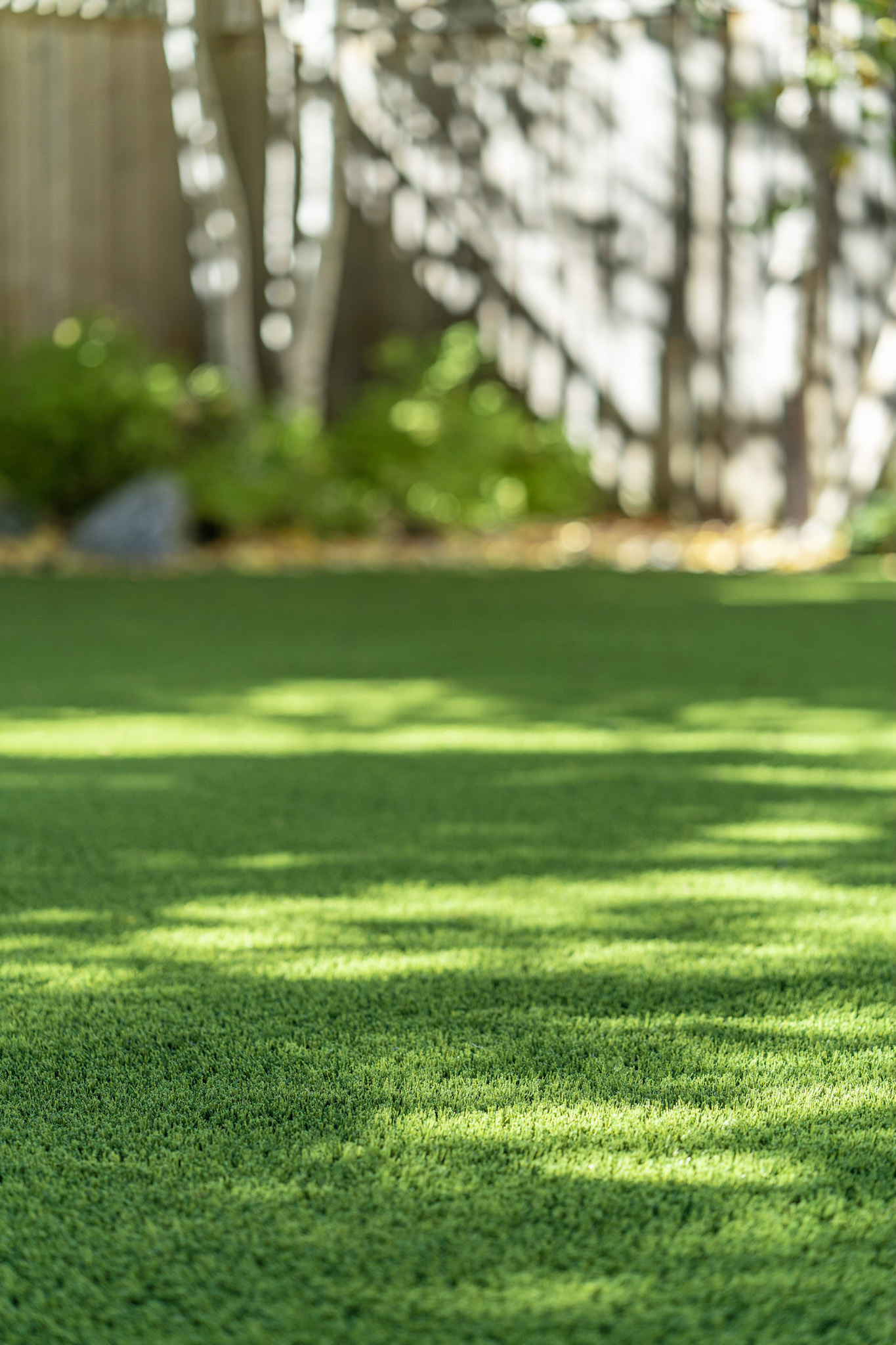 Turf vs Natural Grass